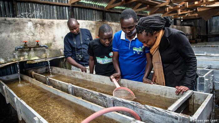 Young farmers inspect an aquaponics system in Nairobi