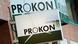 Prokon logo Prokon logo