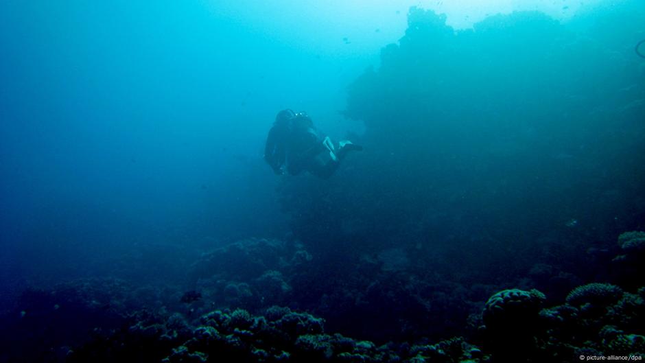 La disminución del oxígeno en los océanos amenaza a los peces de aguas profundas