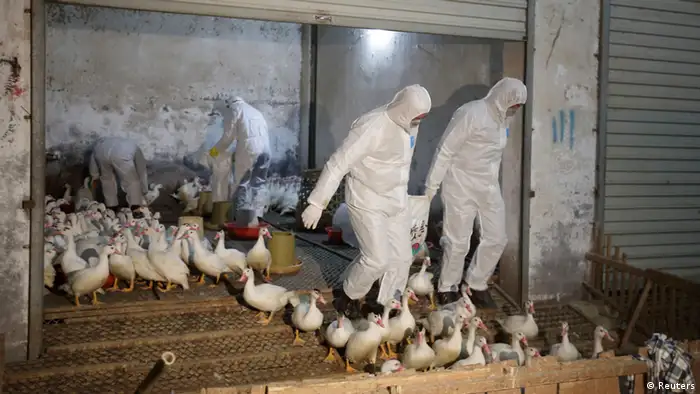China Vogelgrippe H7N9