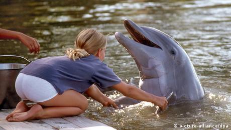 Dreharbeiten zum Film Das Delphinwunder