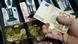 Deutschland Steuereinnahmen Banknoten Kasse mit Euro-Scheinen und Münzen Deutschland Steuereinnahmen Banknoten Kasse mit Euro-Scheinen und Münzen