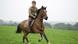 Кадр из фильма ''War Horse'' Кадр из фильма ''War Horse''
