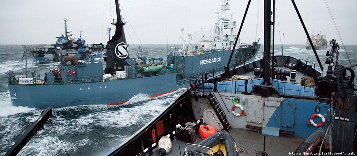 Sea Shepherd vows fight despite settlement