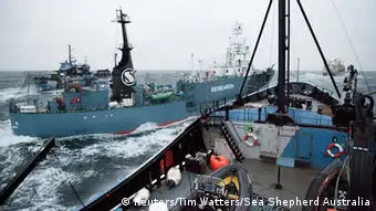 Japan Walfangflotte Inzident 02.02.2014