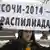 Протест в Санкт-Петербурге против коррупции на Олимпиаде в Сочи, февраль 2014 года