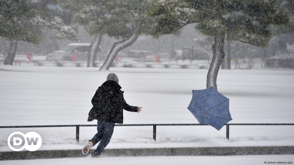 Once Muertos En Japon Tras Fuertes Nevadas El Mundo Dw 09 02 2014