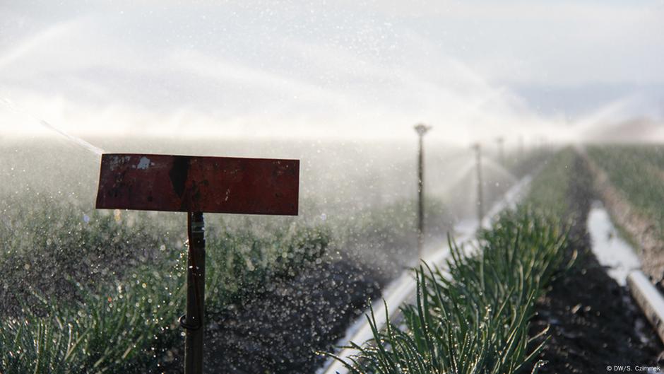 Why US investors are now betting on water | DW | 21.01.2021