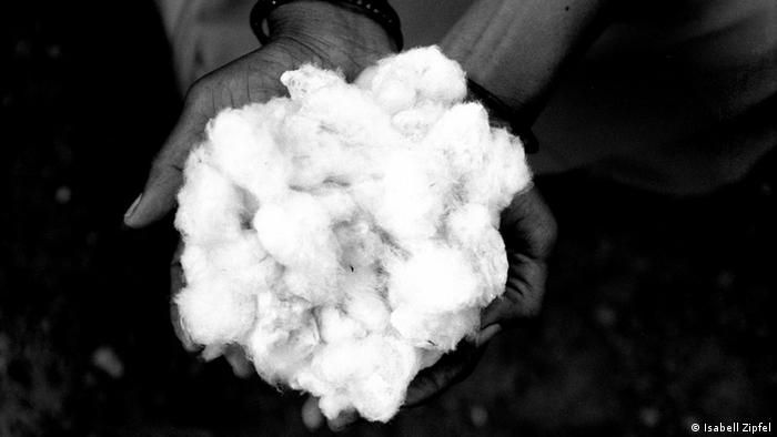 Bildergalerie Indien BT Baumwolle