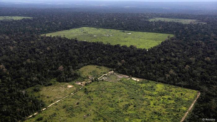 Die Luftaufnahme einer Soja-Plantage im Amazonas (Foto: REUTERS/Nacho Doce/Files)