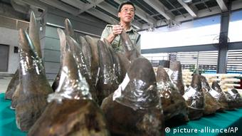 Smuggled rhino horn intercepted at customs in Hong Kong (Photo: AP /Kin Cheung)