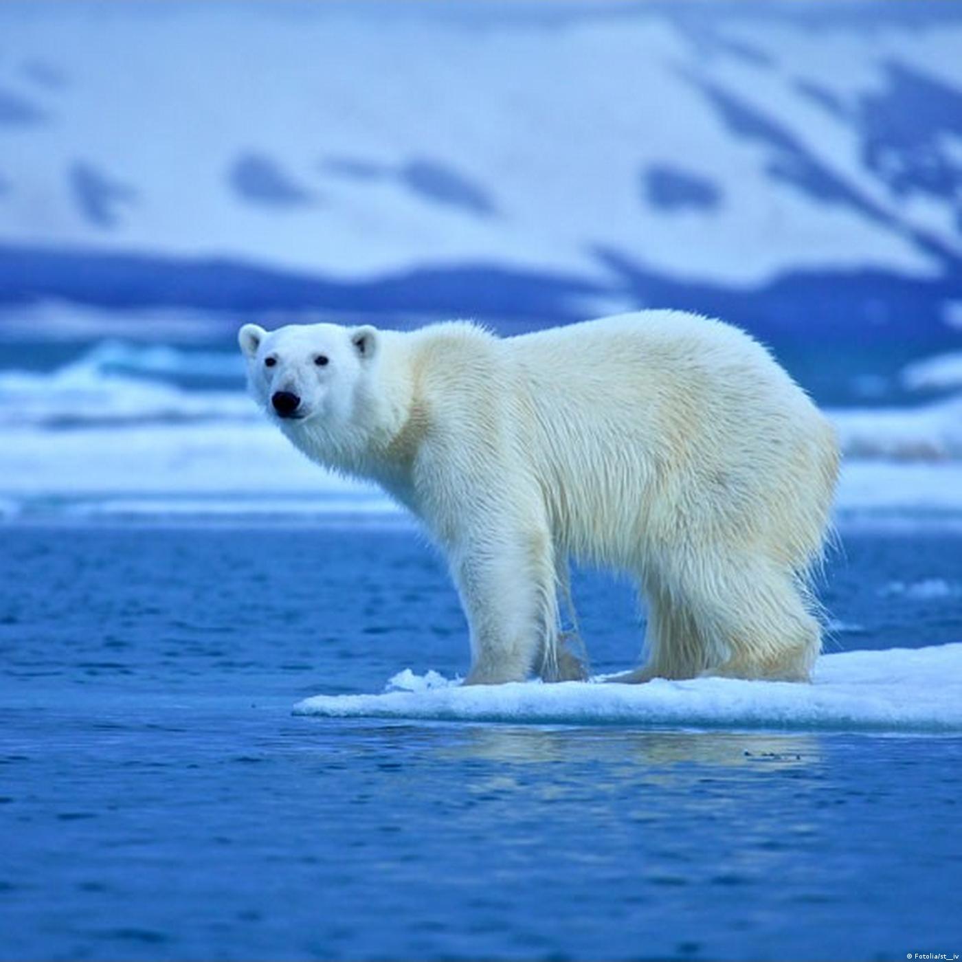Living Planet: Bold for change
