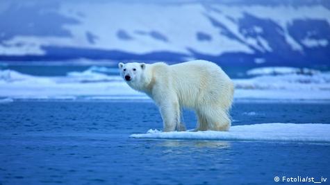 Polar Bear Plunge 2014, EOD Wounded Warrior: Polar Bear Plu…