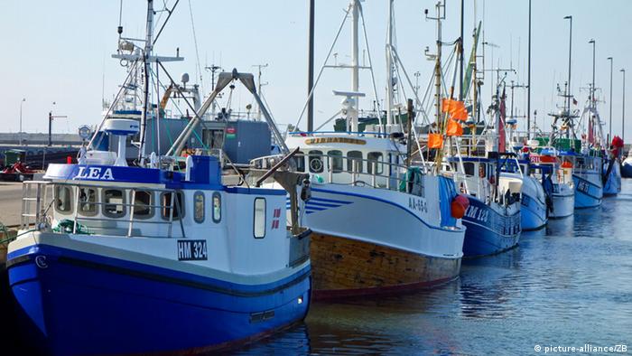 Blue fishing boats in a harbor