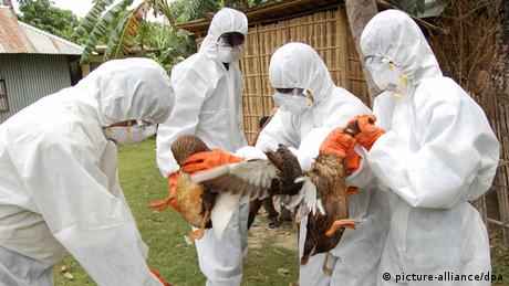 Symbolbild Vogelgrippe Bangladesh (picture-alliance/dpa)