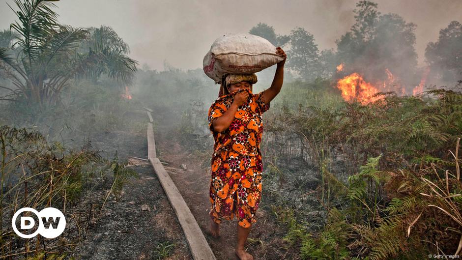 Keberlanjutan Sebagai Agenda Bangsa Indonesia Laporan Topik Topik Yang Menjadi Berita Utama Dw 18 08 2015