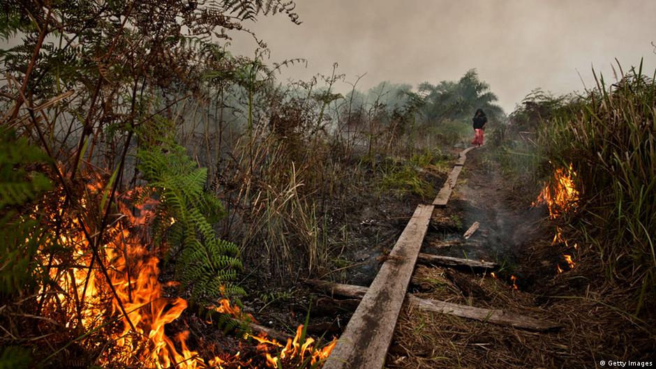 El Niño's' impact on Indonesia
