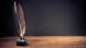 Quill, Copyright: brat82/Fotolia.com Quill, Copyright: brat82/Fotolia.com