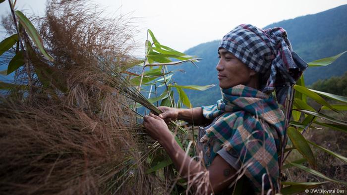 A Khasi man working on a farm in Meghalaya state
