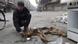 Ein toter Hund mit einem Jungen auf den Straßen von Jarmuk - Foto: Rami al-Sayed (UNRWA) Ein toter Hund mit einem Jungen auf den Straßen von Jarmuk - Foto: Rami al-Sayed (UNRWA)
