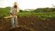 Farmer working in field Farmer working in field