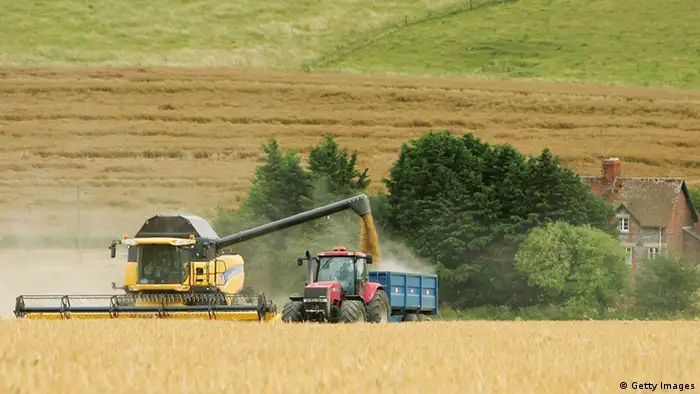 EU-Pläne Patent auf Saatgut Landwirtschaft Weizenernte