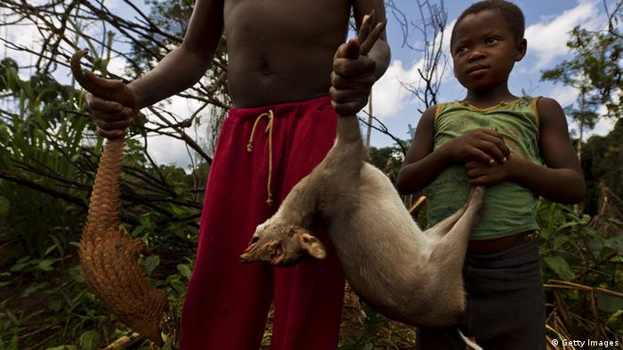 Buschfleisch Afrika Kinder Jagd Fleisch