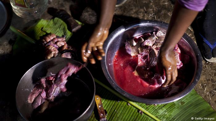 Buschfleisch Afrika Zubereitung Fleisch