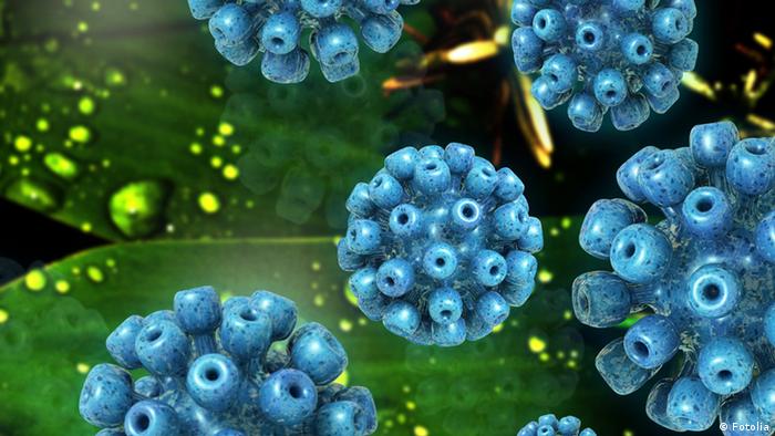 Невідомий вірус гепатиту шириться світом