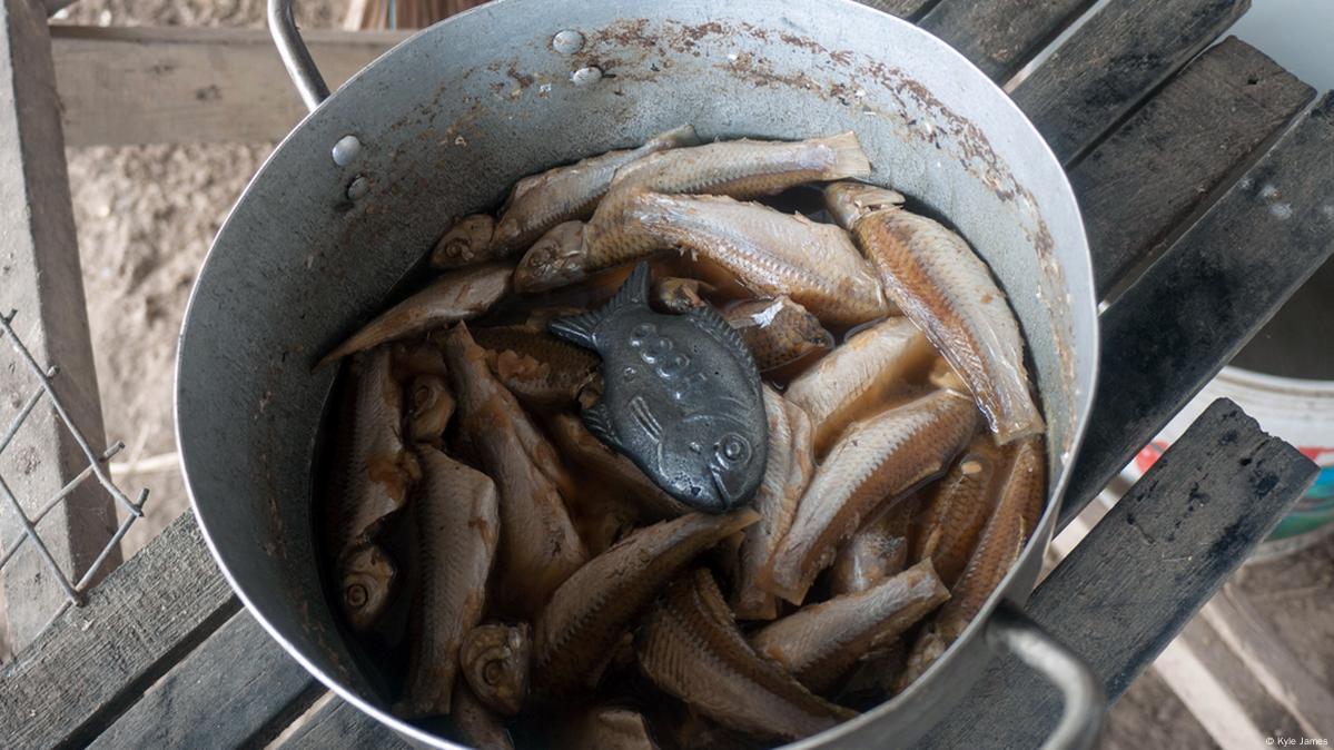 Lucky Iron Fish in cooking pots tackle anemia