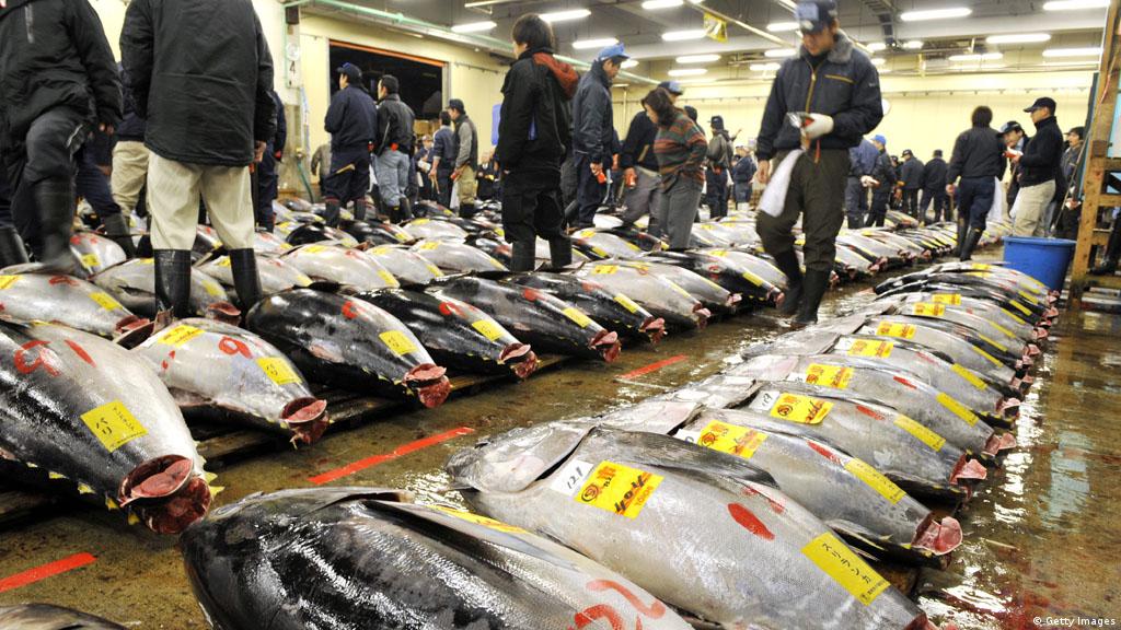 World S Oceans Choking On Plastic Waste Environment All Topics From Climate Change To Conservation Dw 13 02 2015