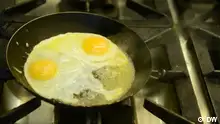蛋炒饭到底是不是一个梗？