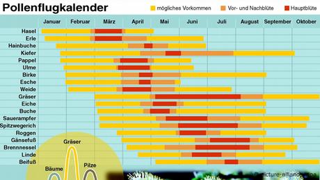 Pollenflugkalender 