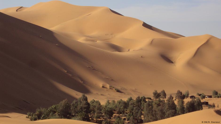 اتفاق تجاري مغربي أوروبي يشمل منتجات زراعة الصحراء الغربية