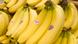 Symbolbild Bananen Panama-Krankheit Symbolbild Bananen Panama-Krankheit