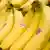 Symbolbild Bananen Panama-Krankheit