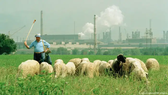 Schäfer mit Schafherde vor dampfenden Schloten, Bulgarien