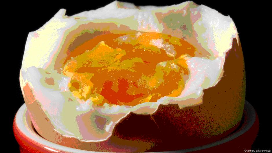 Are eggs actually unhealthy? – DW – 02/17/2017