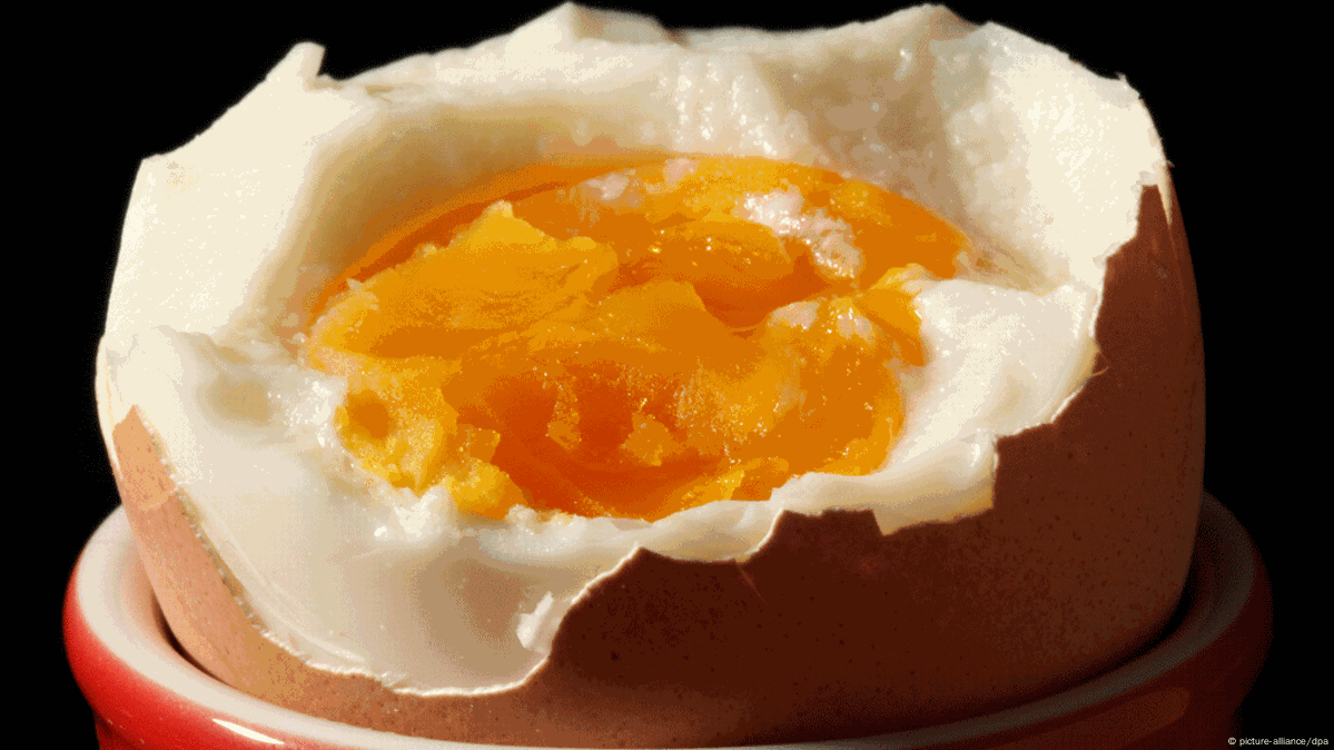 Are eggs actually unhealthy? DW 02/17/2017