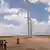 Windenergie in Tarfaya Marokko