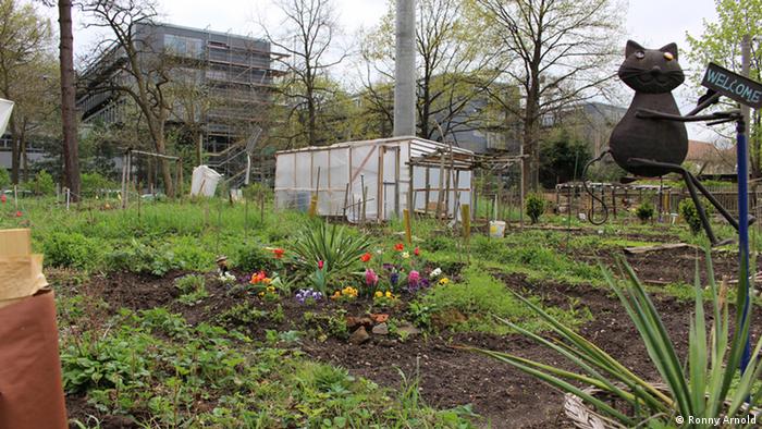 Integrationsgarten kommt unter die Räder | Deutschland | DW | 04.05.2014