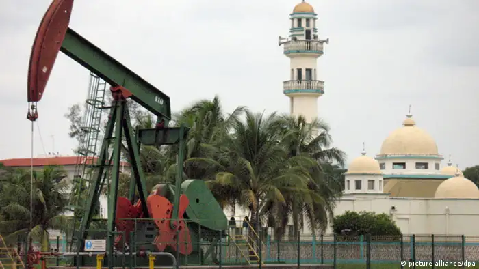Japan Brunei Moschee (picture-alliance/dpa)