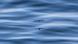 Bildergalerie Fliegende Fische Bildergalerie Fliegende Fische