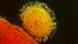 MERS-Virus MERS-Virus