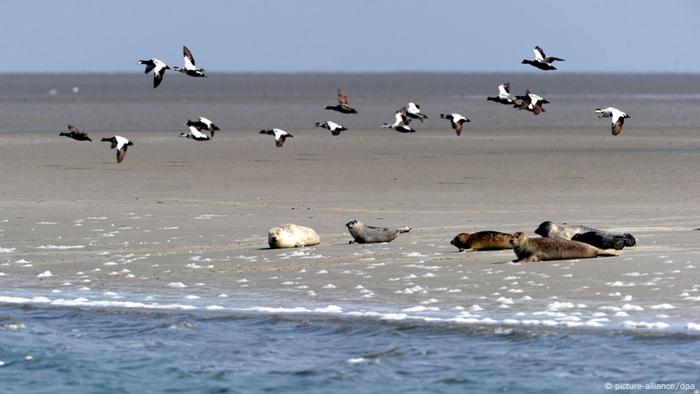 Nationalpark Wattenmeer