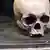 Les crânes humains peuplent les musées du monde entier - aussi ceux d'Africains arrachés à leurs pays. 