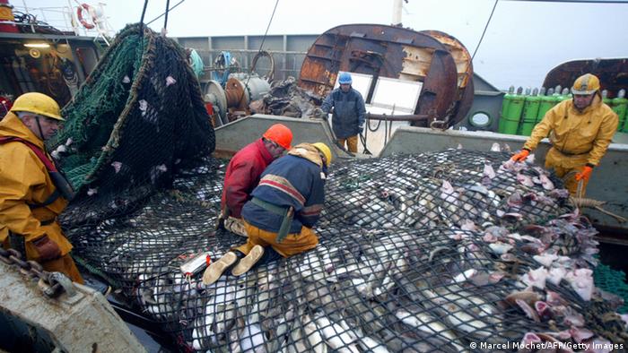 Bildergalerie Europäischer Tag der Meere Hochseefischerei Trawler Frankreich