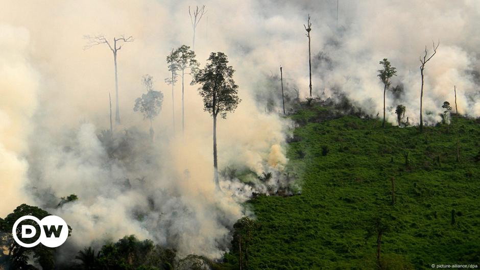 100 Ribu Tewas dalam Kebakaran di Indonesia – DW – 19 September 2016