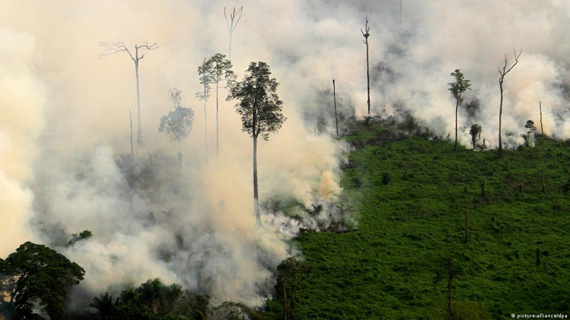Foto aérea mostra fumaça espessa subindo de turfa em Meranti, Indonésia, em 6 de março de 2014.
