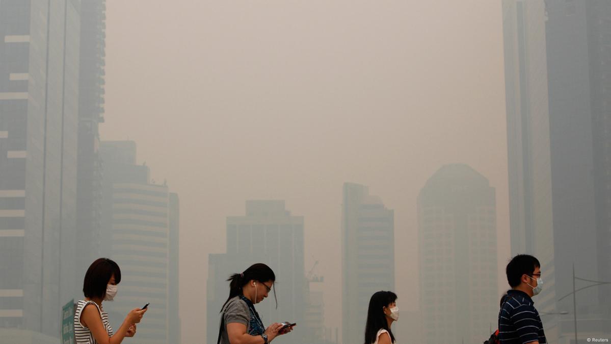 Observe a imagem a seguir e responda às questões propostas: a) Que problema  ambiental está ocorrendo 